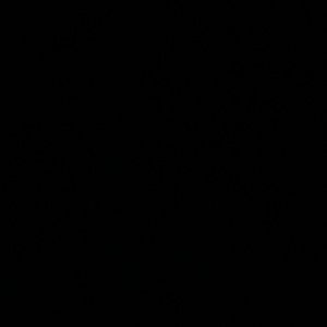 apology - pls don’t buy!